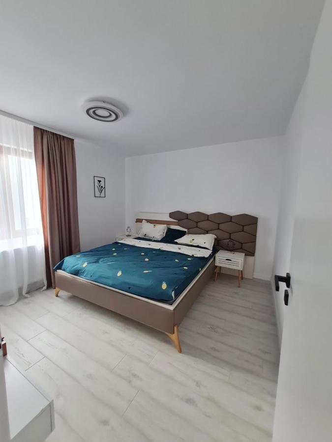Toronto Deluxe Residence 티미쇼아라 외부 사진